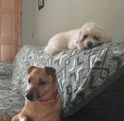 Vakantiehuis Laurel Farm Limerick Junction